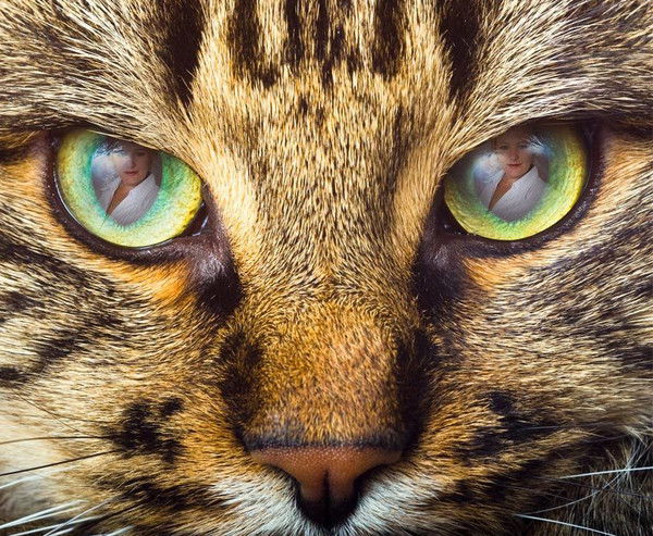 Светлана Соколова