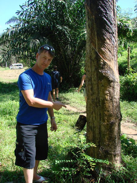 Владимир Ненашев