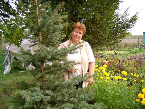 Елена Нейфельд