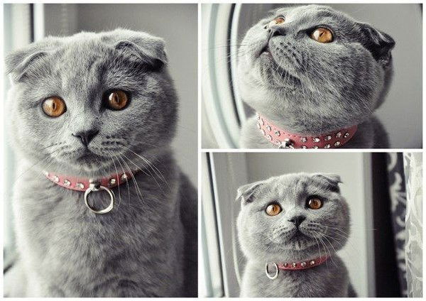 Оля Словетская