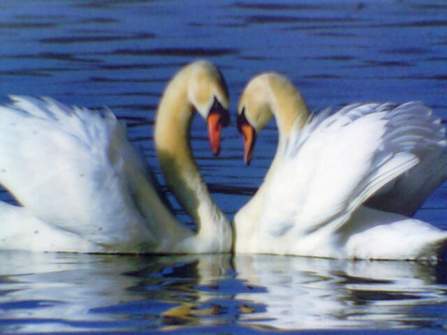 Аида Муслимова