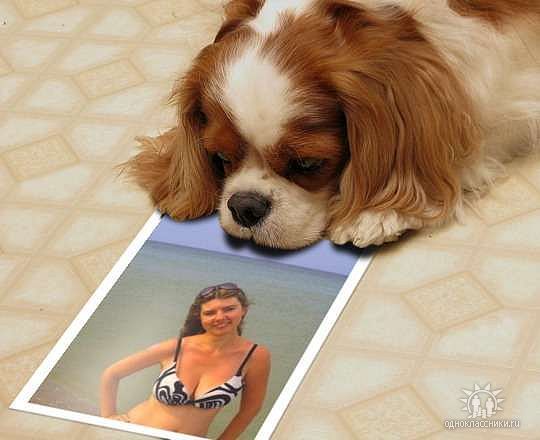 Елена Тюрина