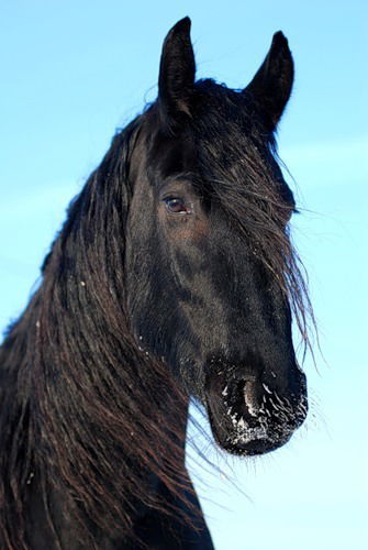 Неизвестно Неизвестно