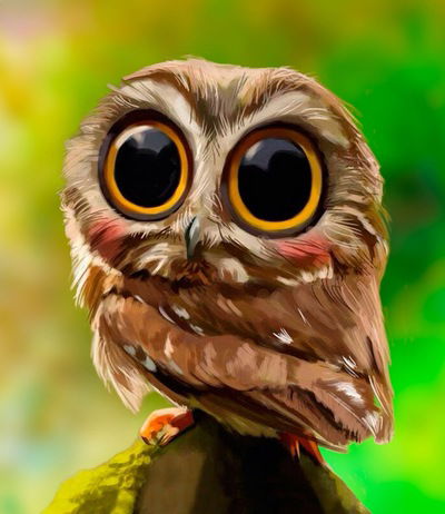 Елизавета Швецова