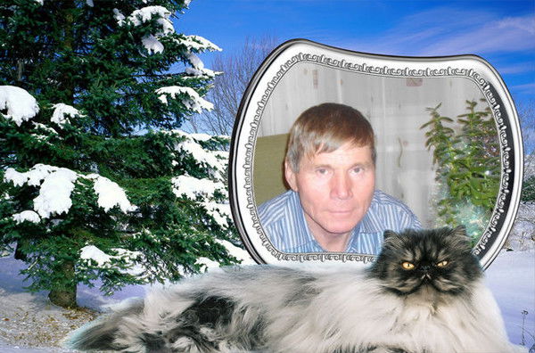 Владимир Шаад