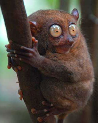 Андрей Кузьмин