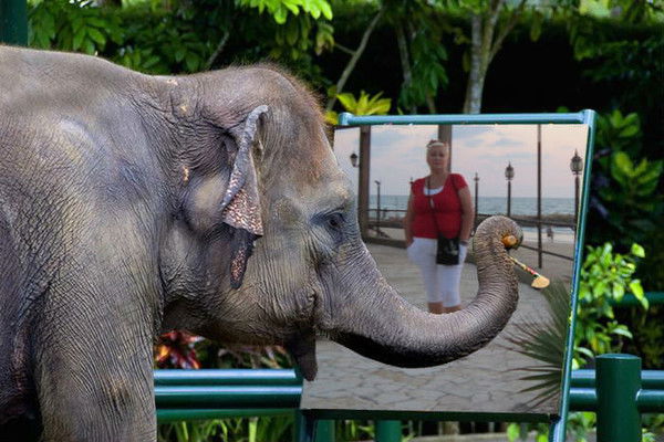 Люда Бочарова