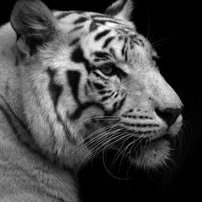 Вадик Денисенко