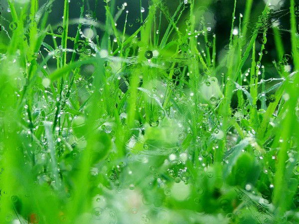 Наталия Семченко