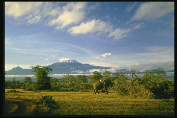 Савелий Лукьянов