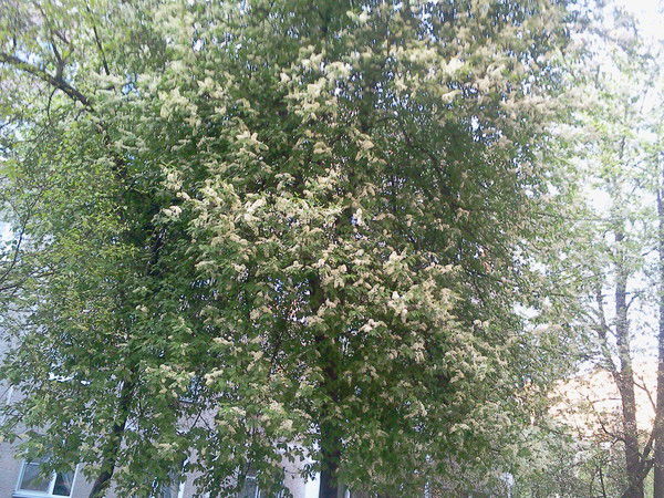 Юлия Курчанова