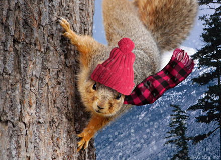 *dusya* Кузнецова