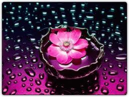 Мария Мерцалова