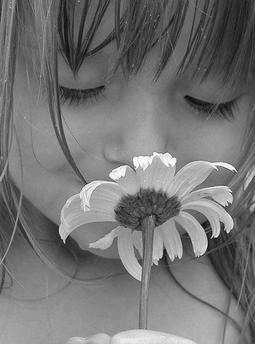 Ольга Шепелева