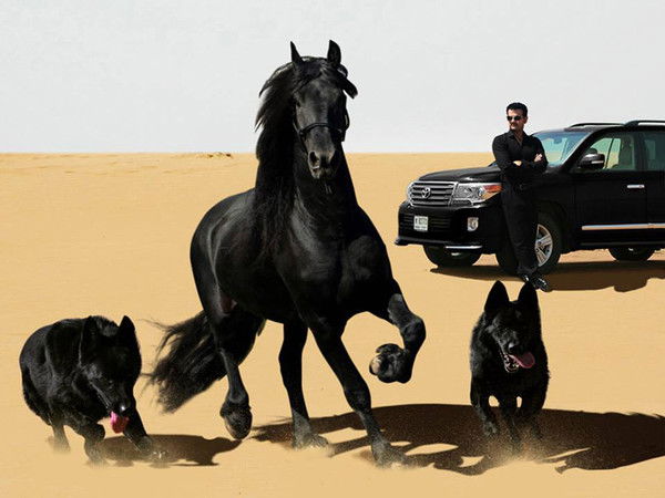 Миср Акрамов