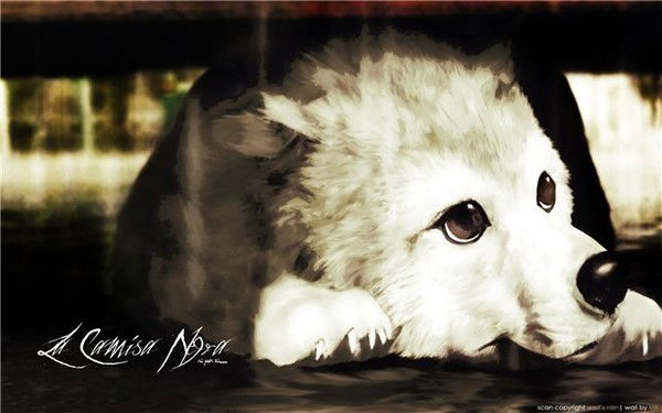 Акжол Сейчанов