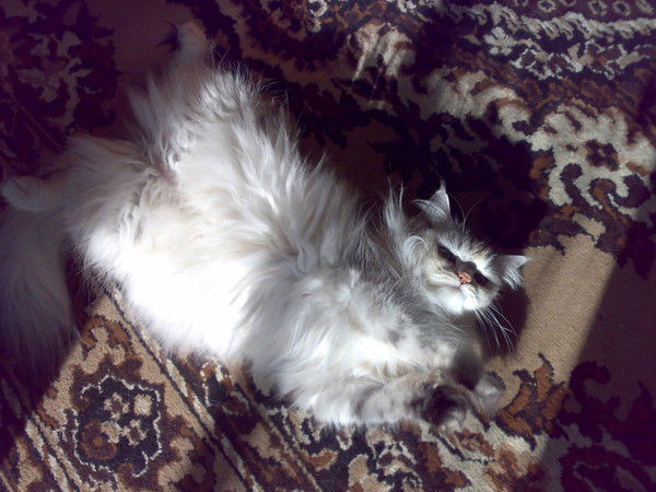 Татьяна Татьяна