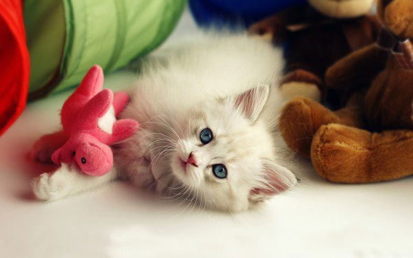 Татьяна Шушунова