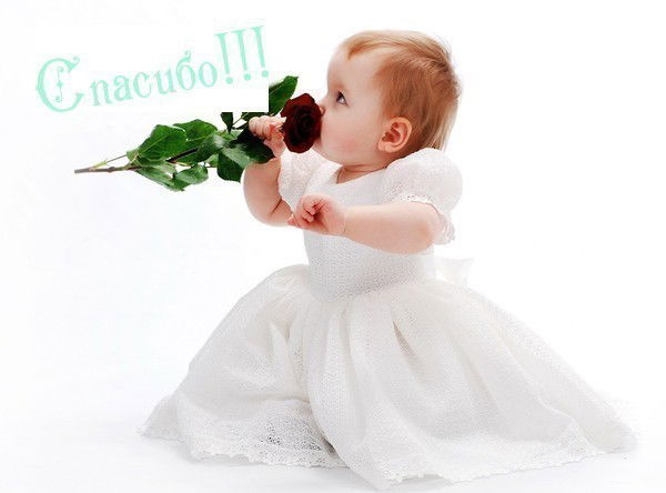 Светлана Юдакова