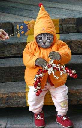 Мнауэра Ибраева