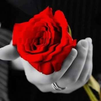 Рада Насирова