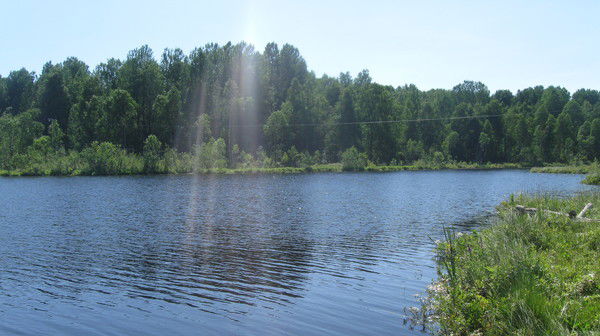 Ирина Бахтенкова