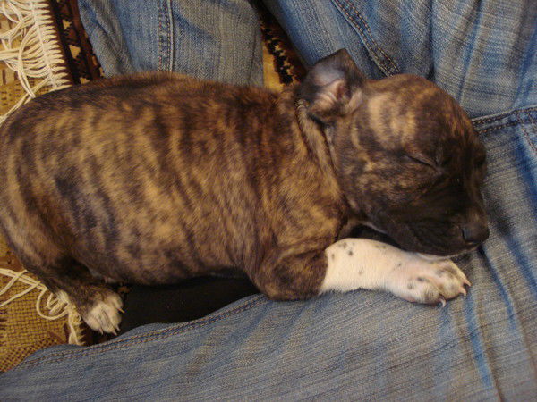 Надежда Афонасенко