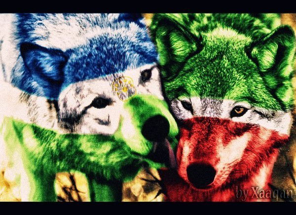 Ильфат Нигматуллин