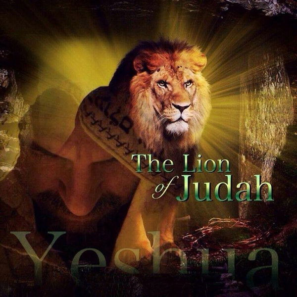 Евгений Плосков