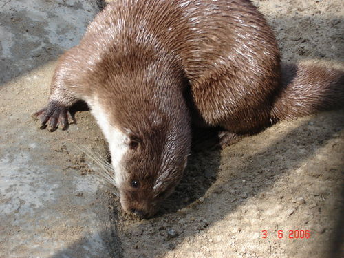 Татьяна Постникова