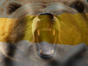 Александр Баранцев