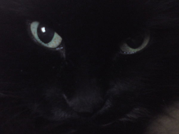 Света Жаринова