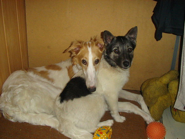 Ольга Рахманина