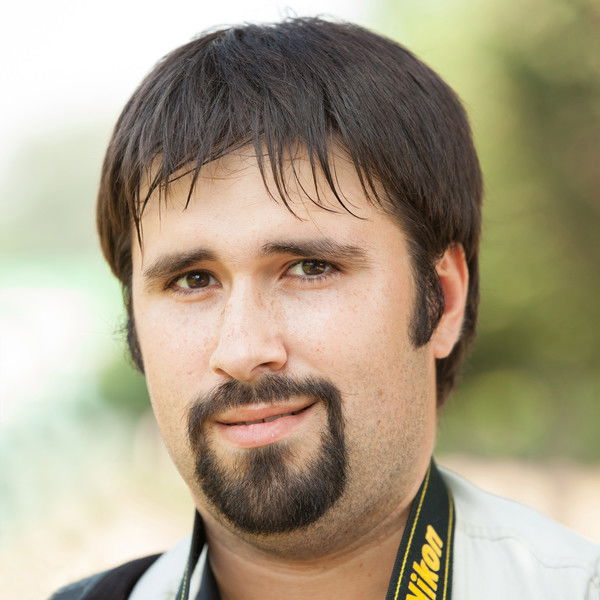 Александр Палехин