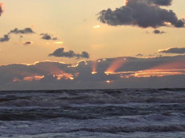 Кваша Михаил