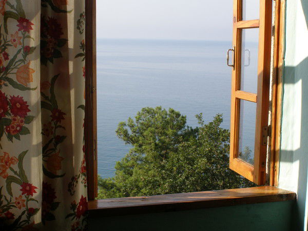 Галина Соколова