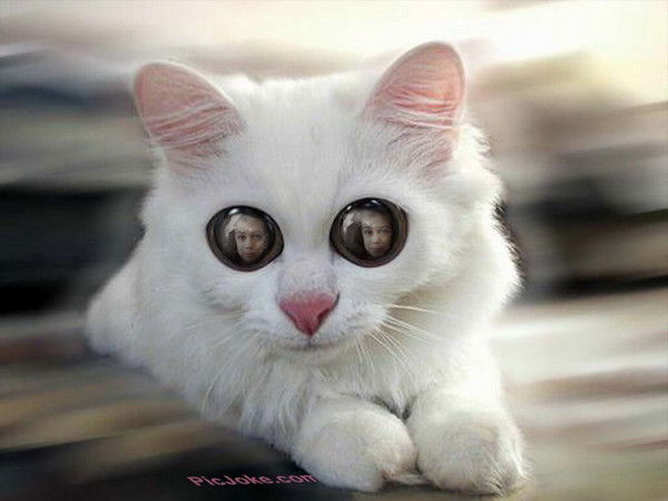 Анна Карузина