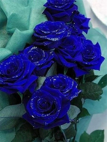 Катя Терендяк