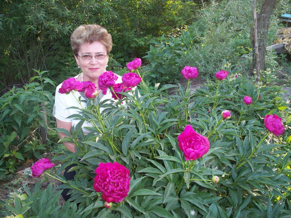 Римма Масалимова