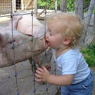 Юрий Илюйкин