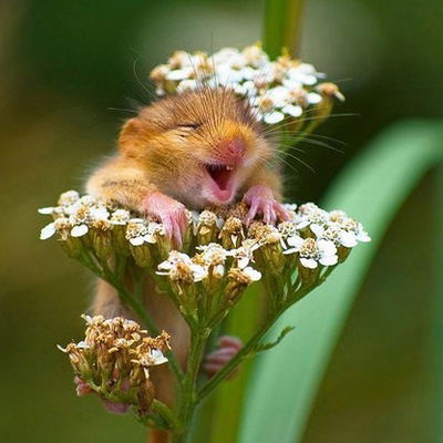 Мария Кудашова