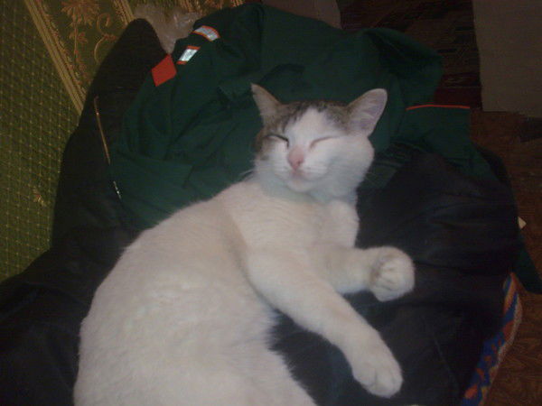 Даулен Нуриденов