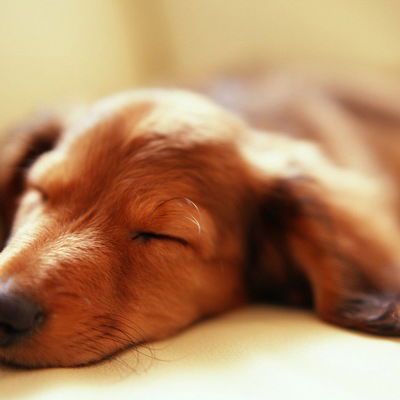 Милана Якубовская