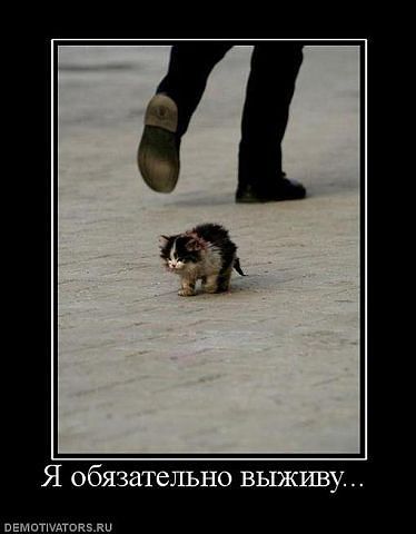 Максим Волк