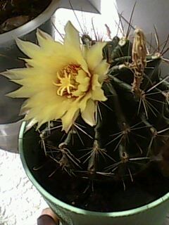 Сергей Репин