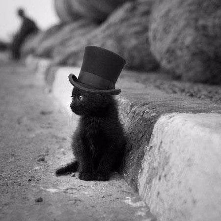 Женя Толмачёв