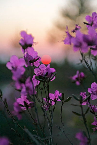 Татьяна Галкина