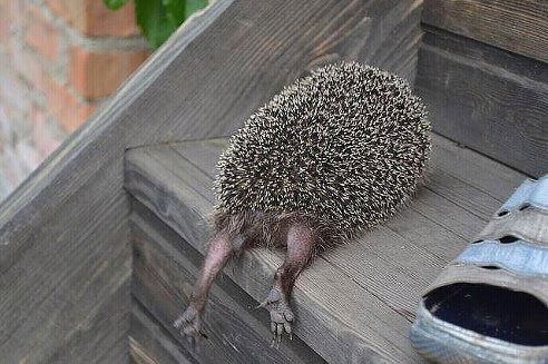 Игорь Юрьевич Ушаков