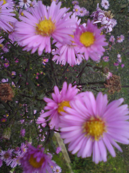 Владимир Владимиров