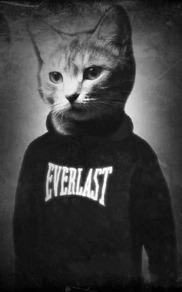 Evgenii Shamshutdinov